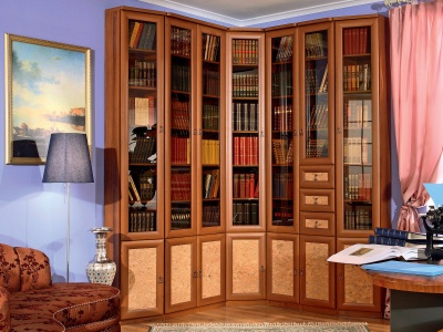 Книжный шкаф «Агата»