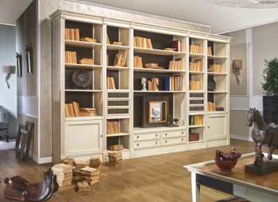 Книжный шкаф «Вектор»