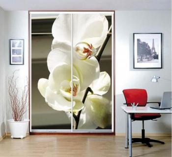 Шкаф Базиль (фотопечать)