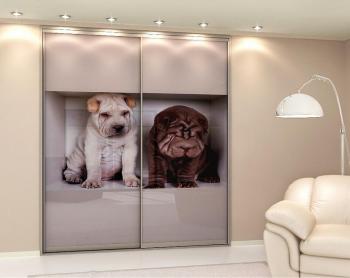 Шкаф Левон (фотопечать)