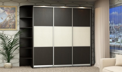 Шкаф-купе «Жасмин»