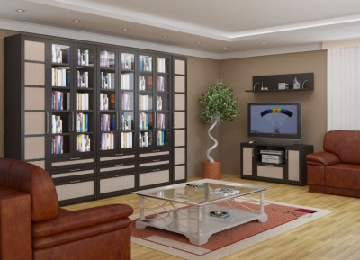 Книжный шкаф «Калипсо»