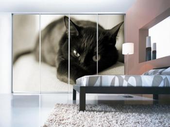 Шкаф Джейрк (фотопечать)