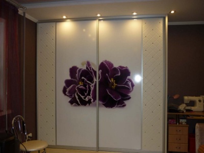 Шкаф Игнац (фотопечать)